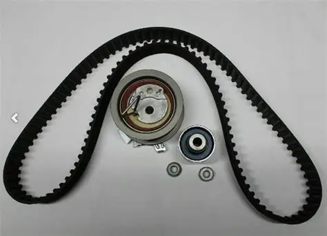 OIP 4